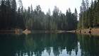Image result for stumpy meadows lake