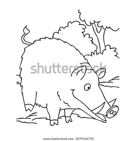 Beautiful Wild Boar Line Art Imagesoutline Stock Vector Royalty Free