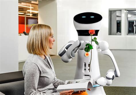 Robots Domésticos Robots Actuales Y Robots Del Futuro Cinco Noticias