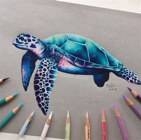 Coloring With Prismacolor Pencils Turtle Drawing Prismacolor Art