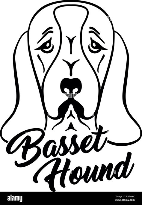 Basset Hound Head Silhouette With Hand Written Word Stock Photo Alamy
