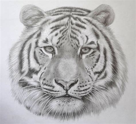 Cool Black And White Drawings At Explore
