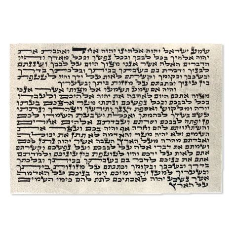 Kosher Mezuzah Klaf Scroll 2xl 8 20cm Mezuzah Master