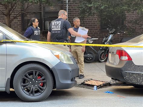 Man shot dead in broad-daylight attack in the Bronx: NYPD