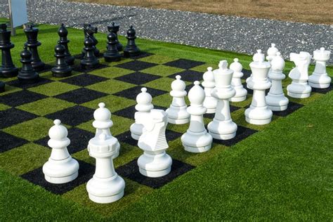 Nice Backyard Chess Set Up Im Amazed At How They Colored The Grass