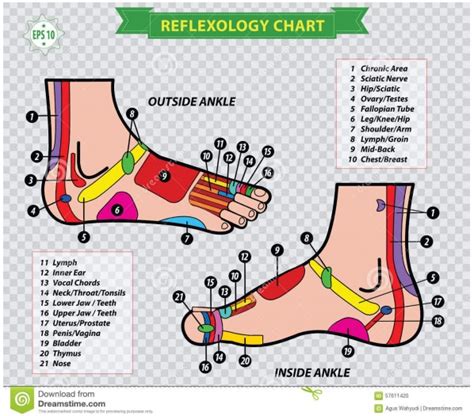Free Printable Foot Reflexology Charts And Maps Pdf Best Collections
