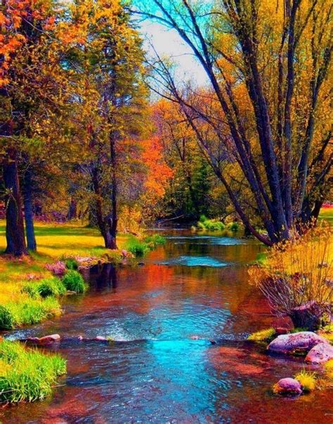So Colorful Really Epitomizes Autumn Beautiful Nature