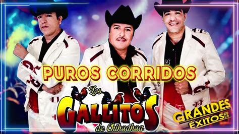 Los Gallitos De Chihuahua 30 Exitos Inolvidables Corridos Y Rancheras