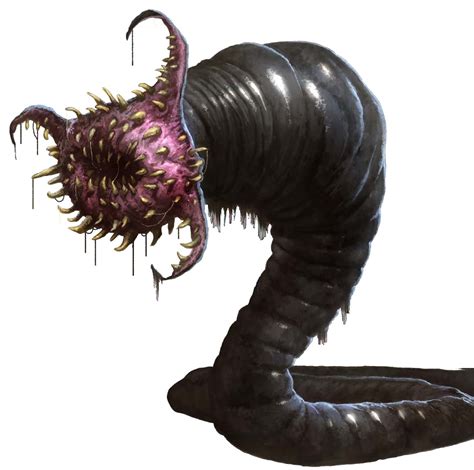 Yhidothrus The Ravager Worm Is Pathfinders
