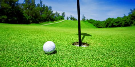 Bermuda Vs Bentgrass Greens How They Differ And Whats Better The