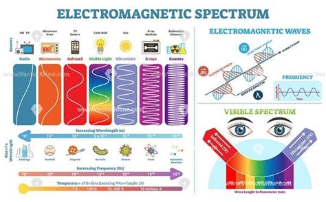 Electromagnetic Spectrum Infographic Diagrams Collection