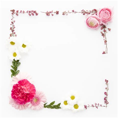 Visite clker et la recherche de graphismes floraux. Bordure De Fleurs Assorties | Photo Gratuite