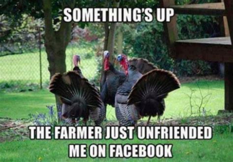 34 Funny Thanksgiving Memes Barnorama