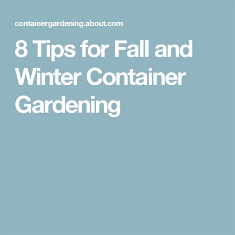 8 Tips For Fall And Winter Container Gardening Winter Container