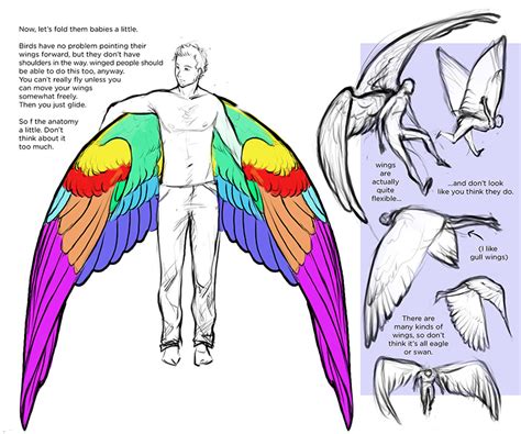138 Images Drawing References And Tutorals Wings Drawing Drawings