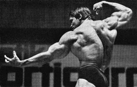 Complete Back Workout Arnold Schwarzenegger Lifting Motivation