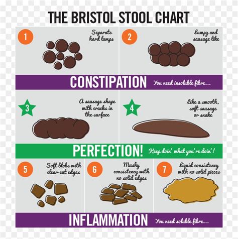 Bristol Stool Chart For Dogs Nspdd