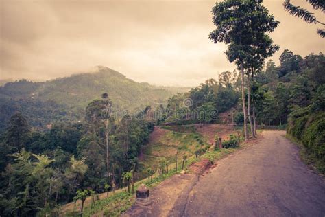 Sri Lanka Nature Stock Image Image Of Mountains Road 49988827