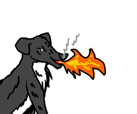 Dog Barks Fire Drawception