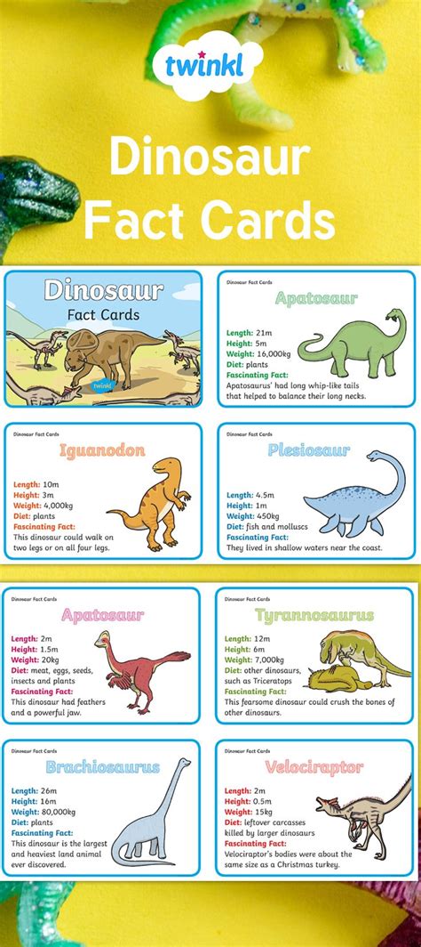 Dinosaur Fun Fact Cards They Use Text And Images To Identify And