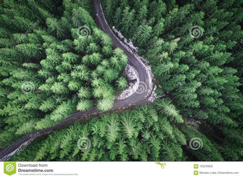 Empty Road In A Forest From A Drone Stock Image Image Of