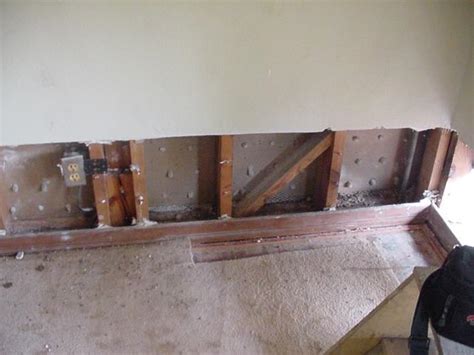 Termite Damage To Drywall Or Sheet Rock Orkin