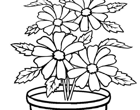 Gambar Pot Bunga Untuk Mewarnai Gambar Mewarnai Bunga Imagesee