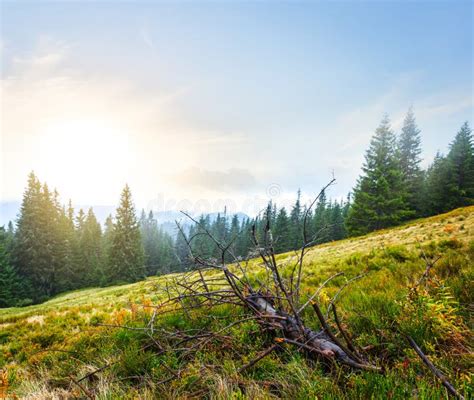 Green Mountain Slope Landscape Stock Image Image Of Magnificent