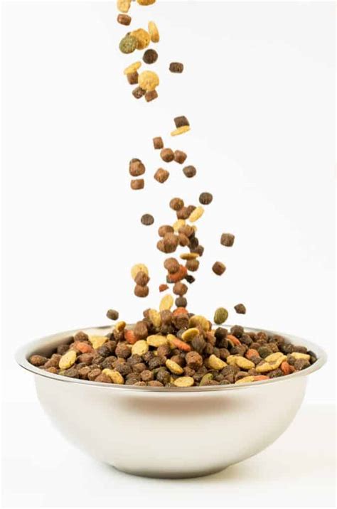 Crunchy kibble in this food cleans the teeth. Kirkland Dog Food Reviews 🦴 Puppy food recalls 2020 🦴 ...