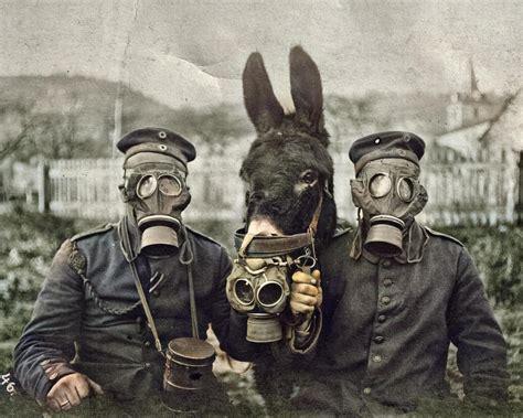 Two German Soldiers And Their Mule Wearing Gas Masks In World War One