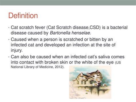 Ppt Cat Scratch Fever Powerpoint Presentation Id2380613