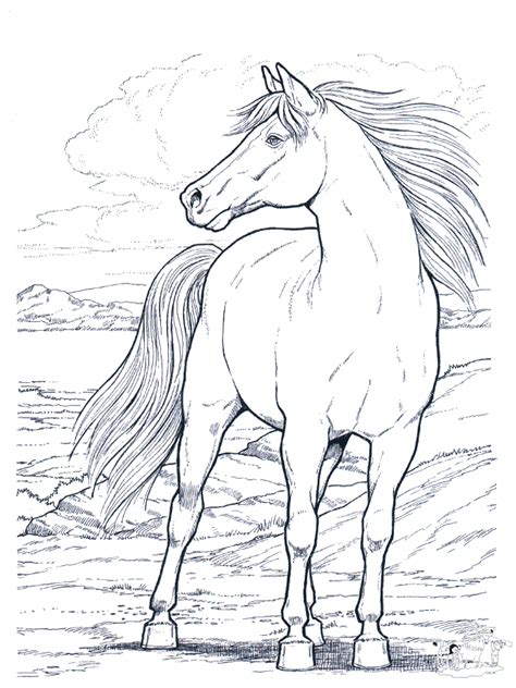 Side View Realistic Horse Coloring Coloring Pages
