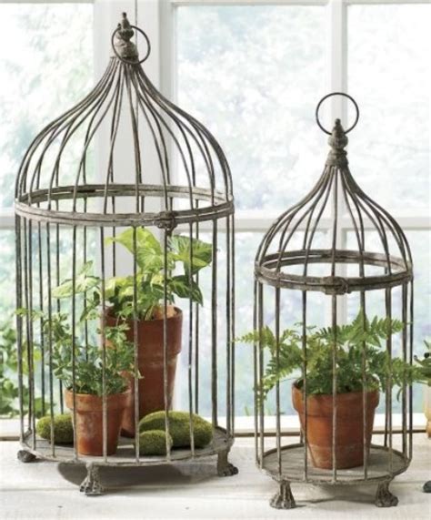 Diy Decorative Bird Cage Home Design Ideas