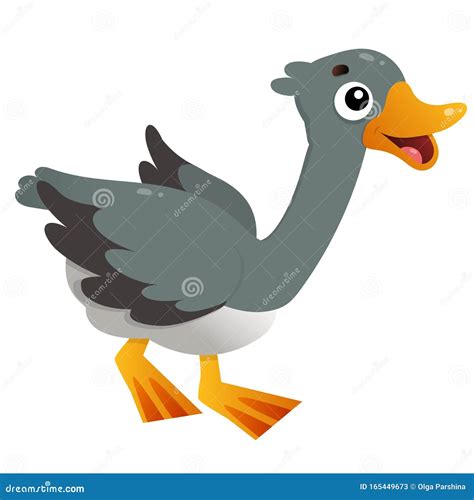 Color Image Of Cartoon Goose On White Background Farm Animals Vector
