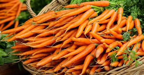 Do Carrots Go Bad Carrot Storage Hacks For Every Home