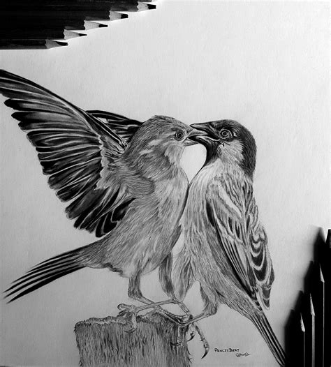 Flying Bird Pencil Drawing