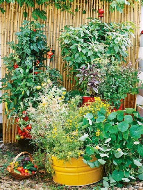 Watering your container vegetable garden. 15 Stunning Container Vegetable Garden Design Ideas & Tips ...