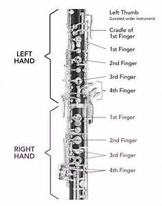 Oboe Reeds Woodwind Making Music Clarinet Charts Finger
