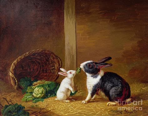 Two Rabbits Painting By H Baert Fine Art America
