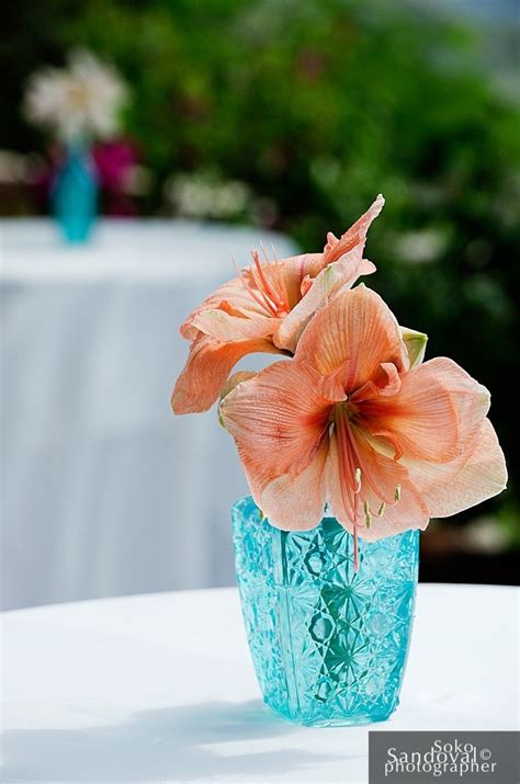 Simple Portfolio Coral And Turquoise Wedding Coral Flower