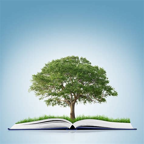 Best Book Tree Stock Photos Pictures And Royalty Free Images Istock