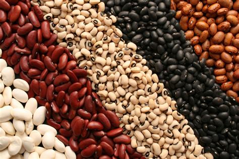 beans iron content how much iron does a bean have from a to vegan