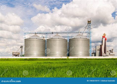 Agricultural Silo Foreground Sunflower Plantations Building Exterior