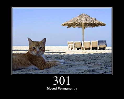 301 Moved Permanently Flickr Photo Sharing