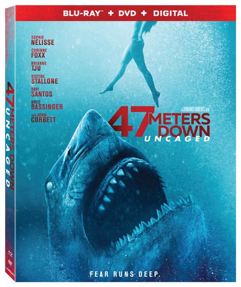 Blu Ray Dvd Review 47 Meters Down Uncaged Nightmarish Conjurings
