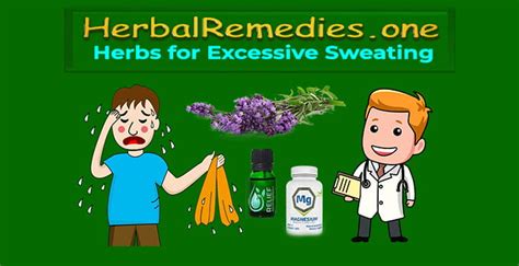 1 Best Herbs For Excessive Sweating How To Reduce Sweating