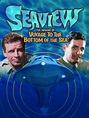 Dvd Viaje Al Fondo Del Mar Voyage To The Bottom Of The Sea - $ 549.00 ...
