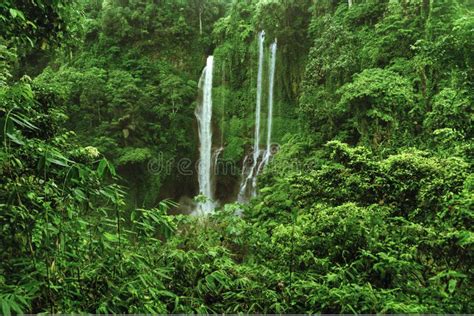 Sekumpul Waterfall In The Jungle With Clear Water Falling On Stone