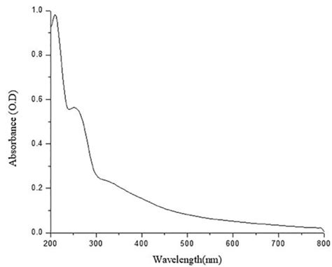 Uv Visible Absorbance Spectrum 2 00 700 Nm Of The Purified Melanin