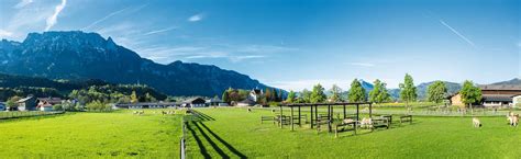 Fohlenhof Ebbs Kitzbüheler Alpen Sommer Card